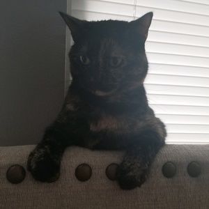 Meet your Posher, Ashli